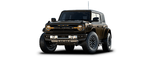 Bronco Raptop